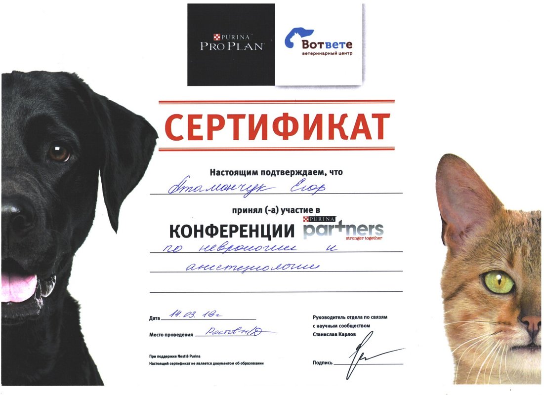 Документ или сертификат
