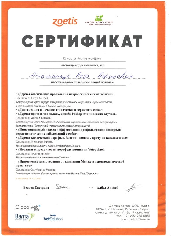 Документ или сертификат