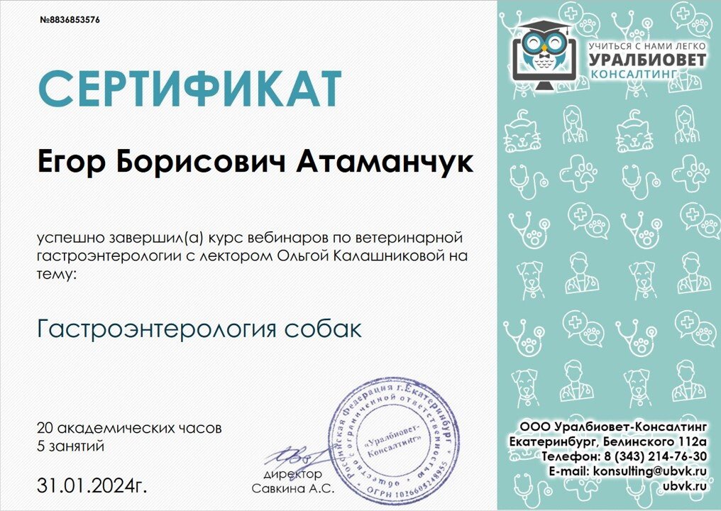 Документ или сертификат