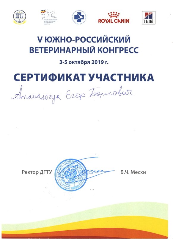 Документ или сертификат