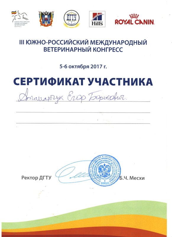 Документ или сертификат