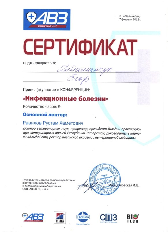 Документ или сертификат