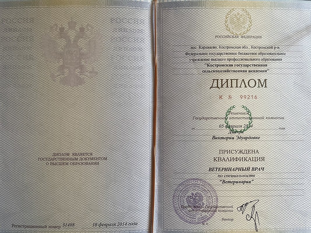 Документ или сертификат