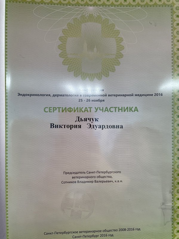 Документ или сертификат