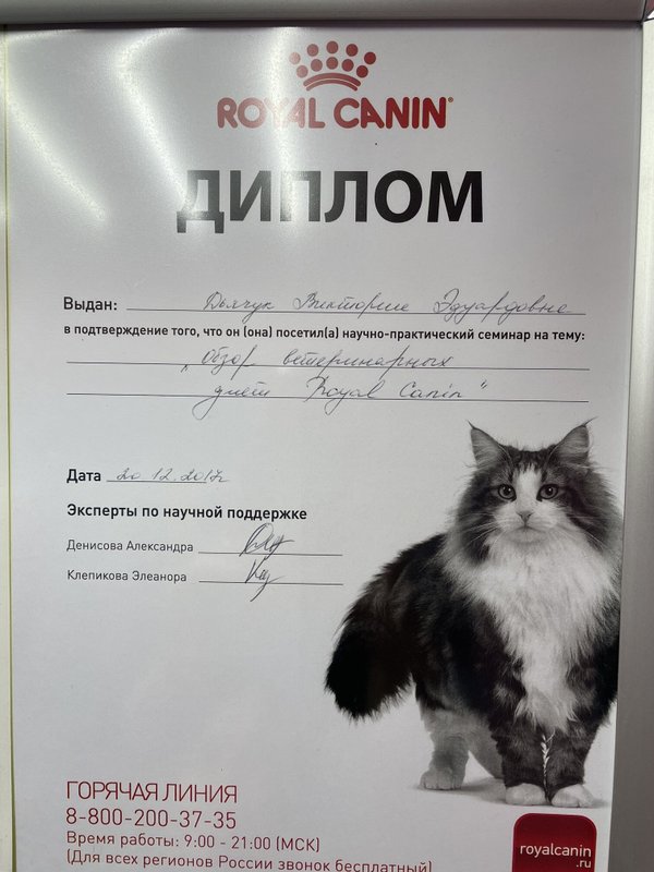 Документ или сертификат
