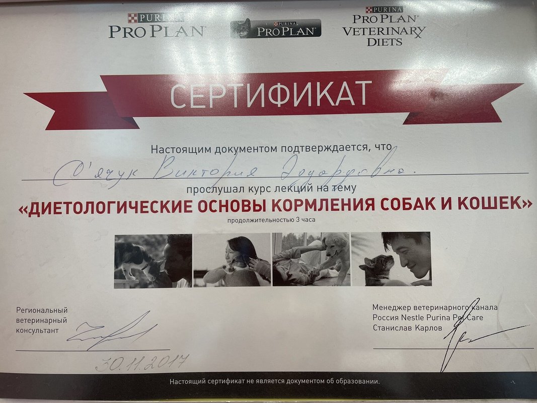 Документ или сертификат