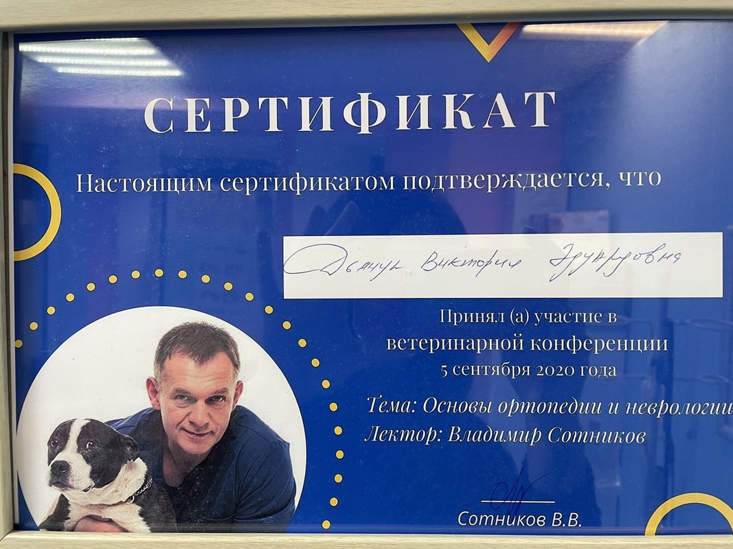 Документ или сертификат