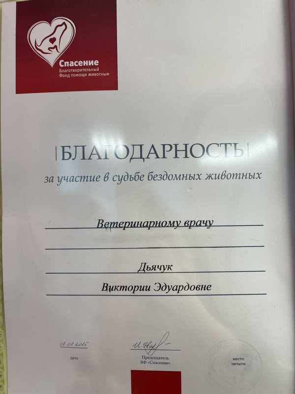 Документ или сертификат