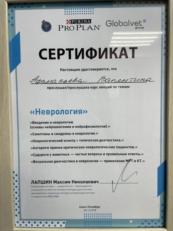 Документ или сертификат