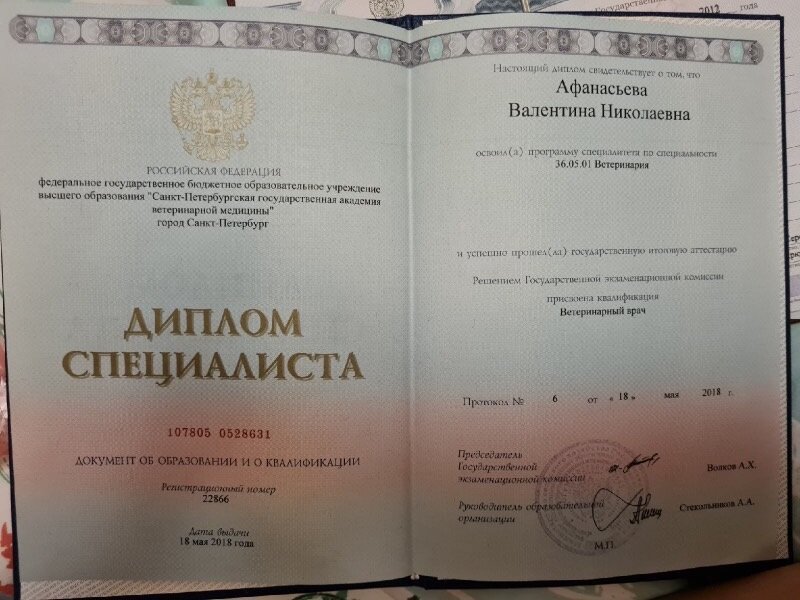 Документ или сертификат