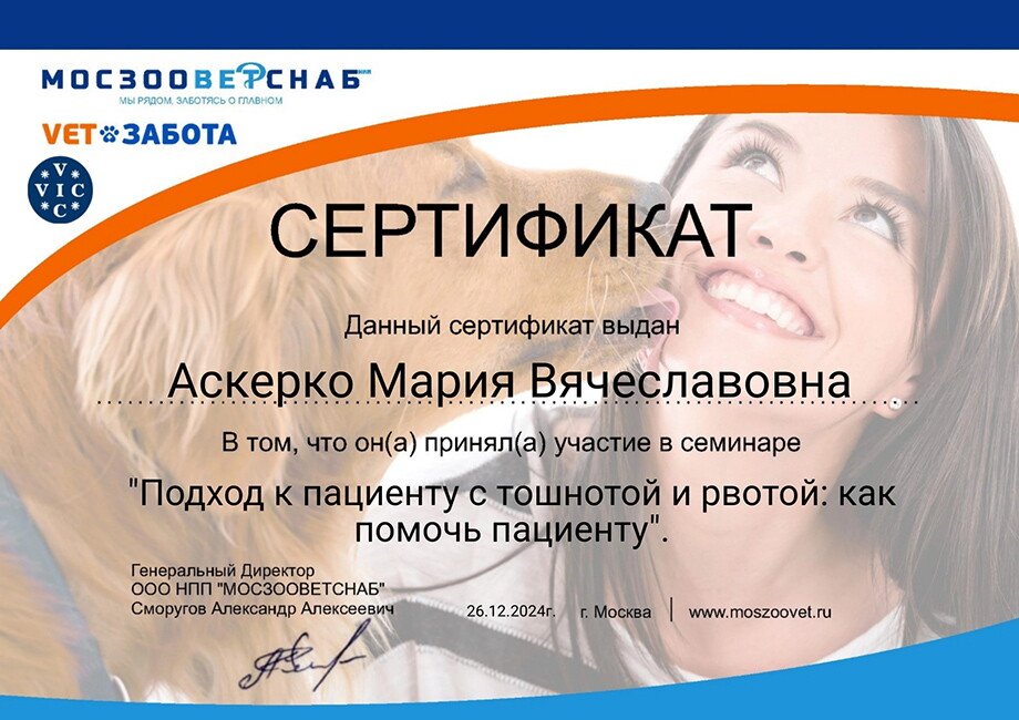 Документ или сертификат