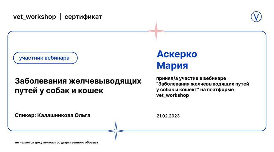 Документ или сертификат