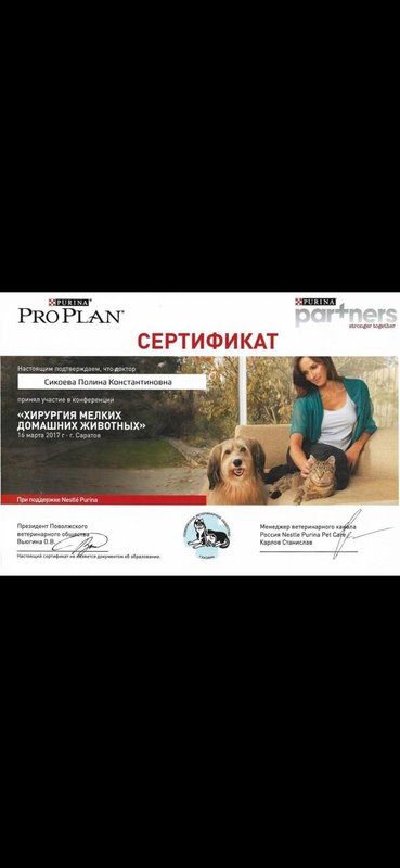 Документ или сертификат