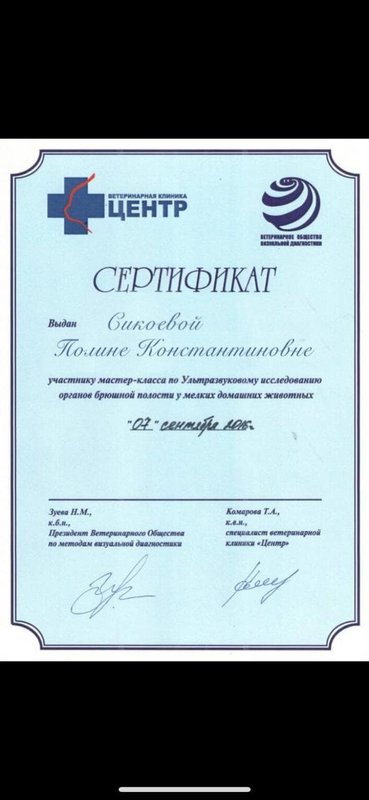 Документ или сертификат