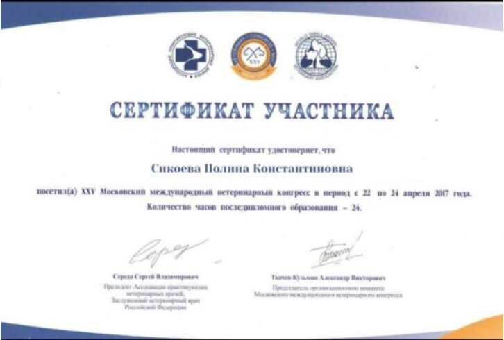Документ или сертификат