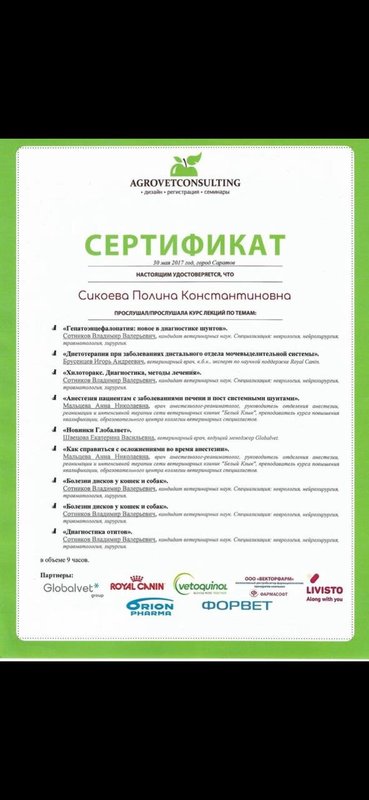 Документ или сертификат