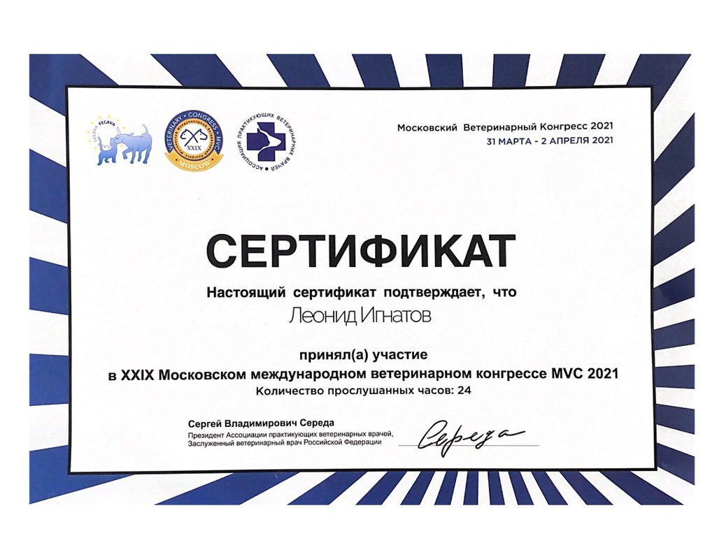 Документ или сертификат