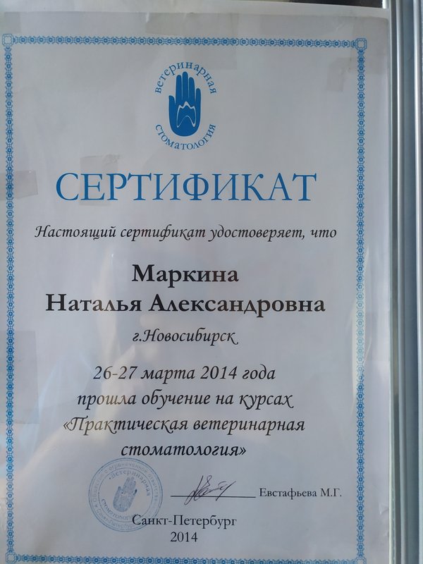 Документ или сертификат