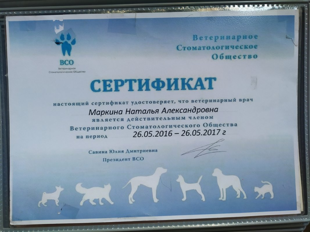Документ или сертификат