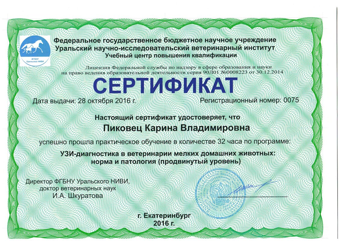 Документ или сертификат