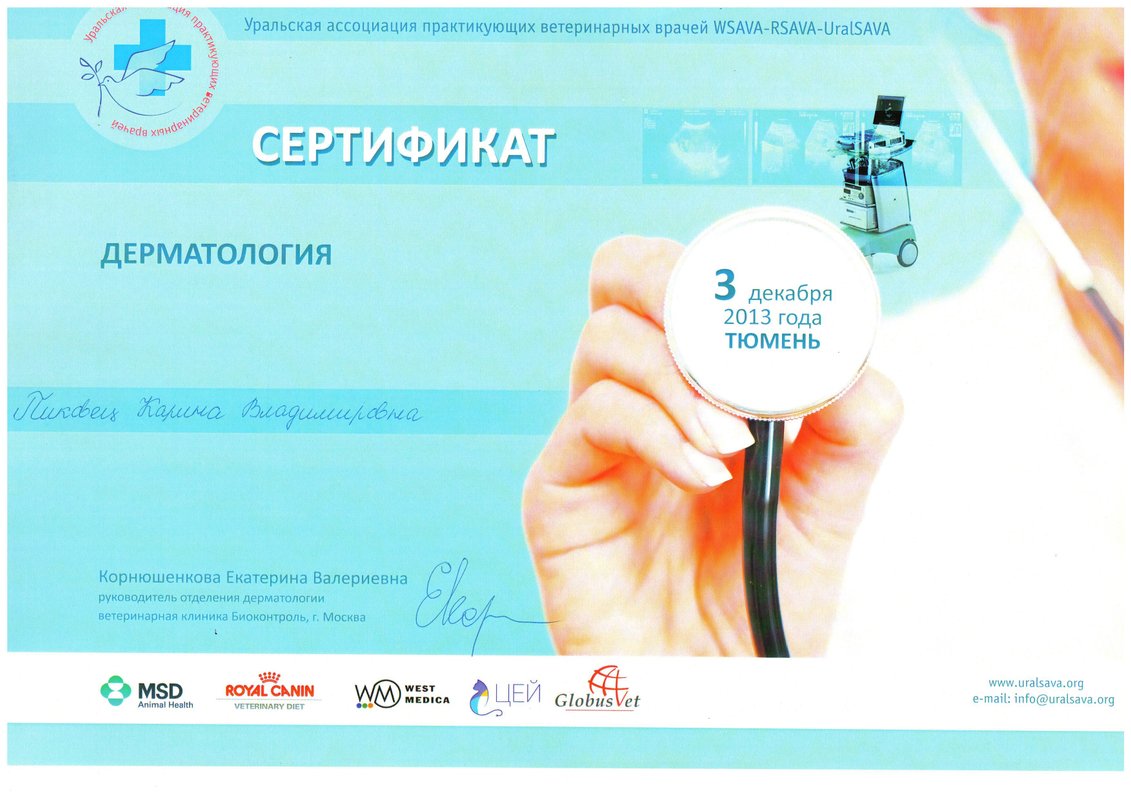Документ или сертификат
