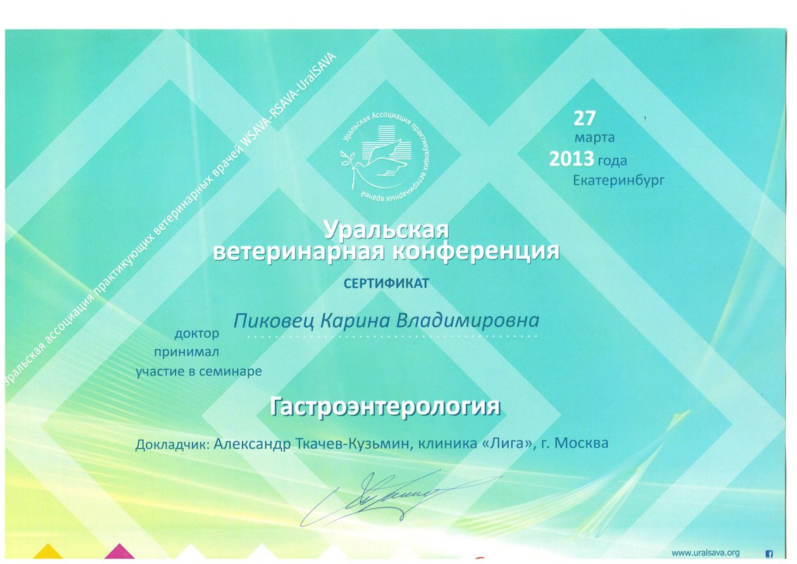 Документ или сертификат