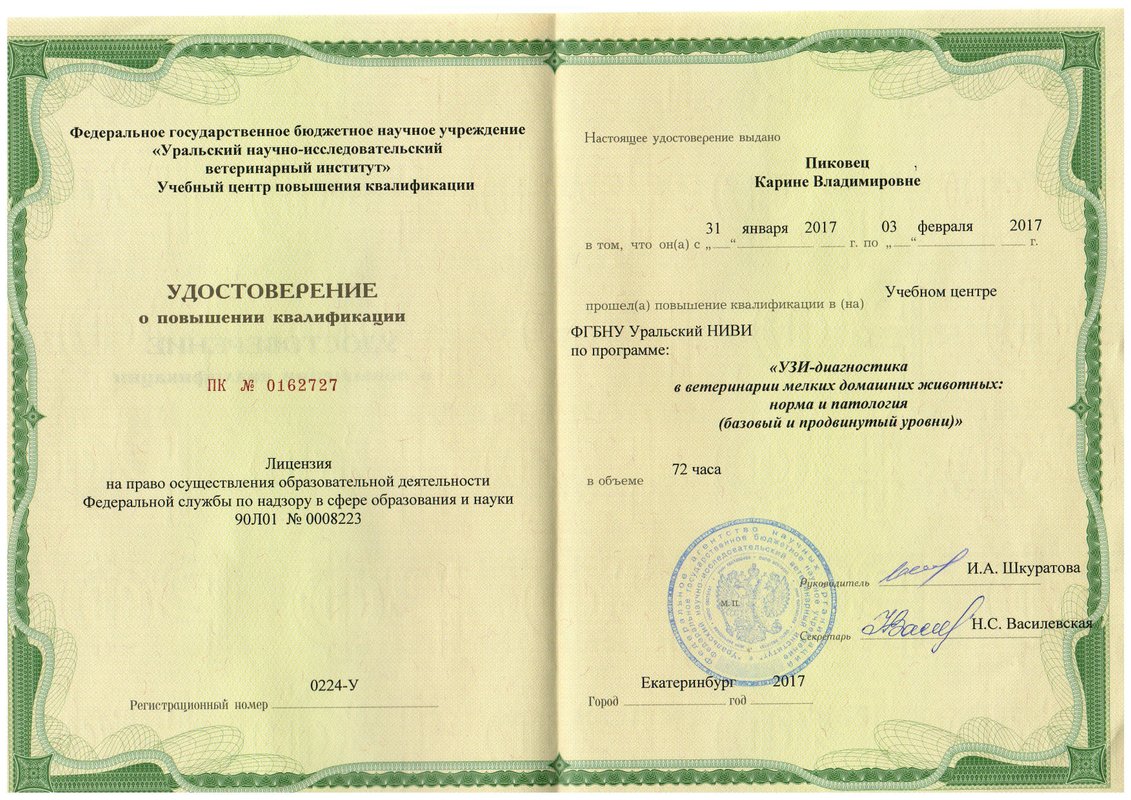 Документ или сертификат