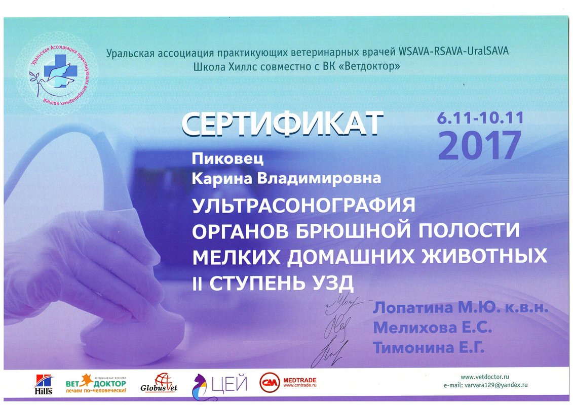 Документ или сертификат