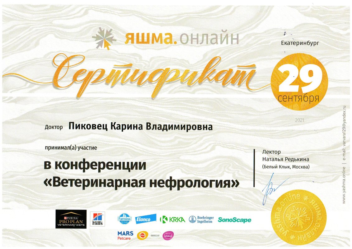 Документ или сертификат