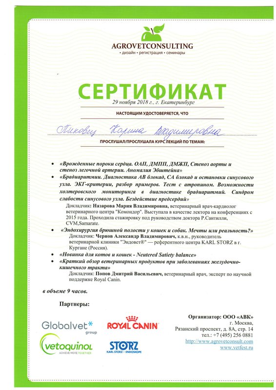 Документ или сертификат