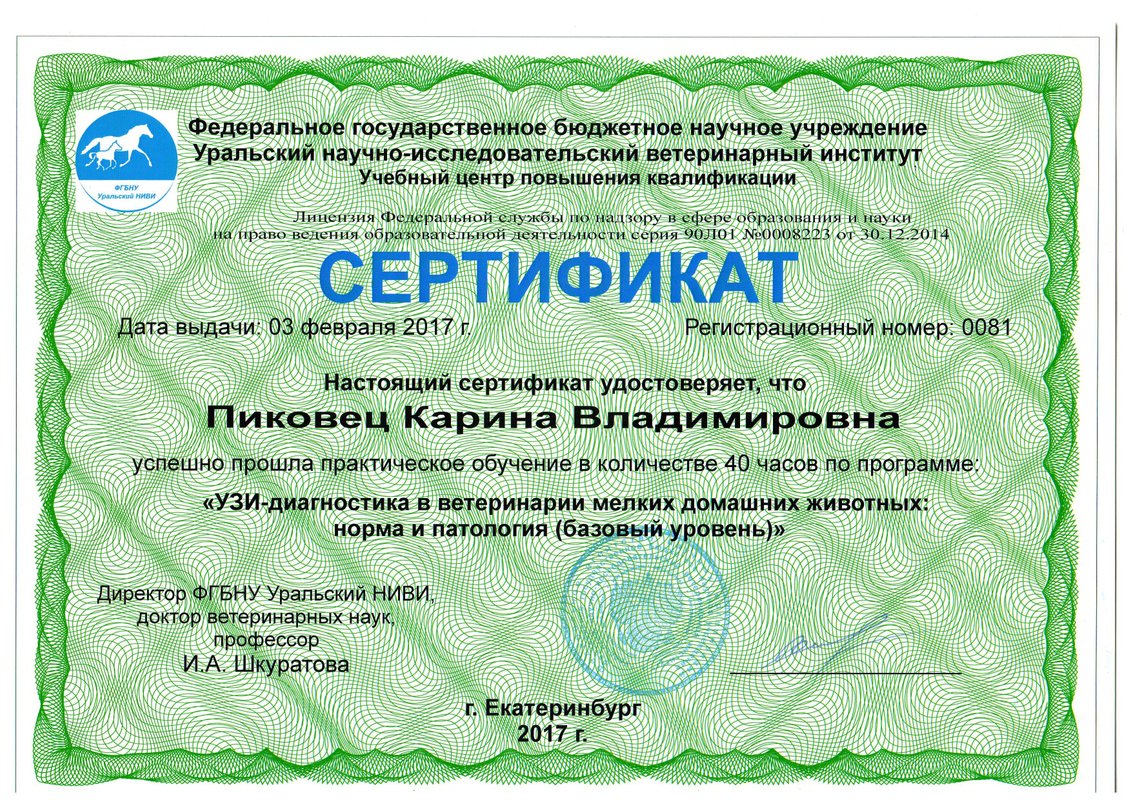 Документ или сертификат