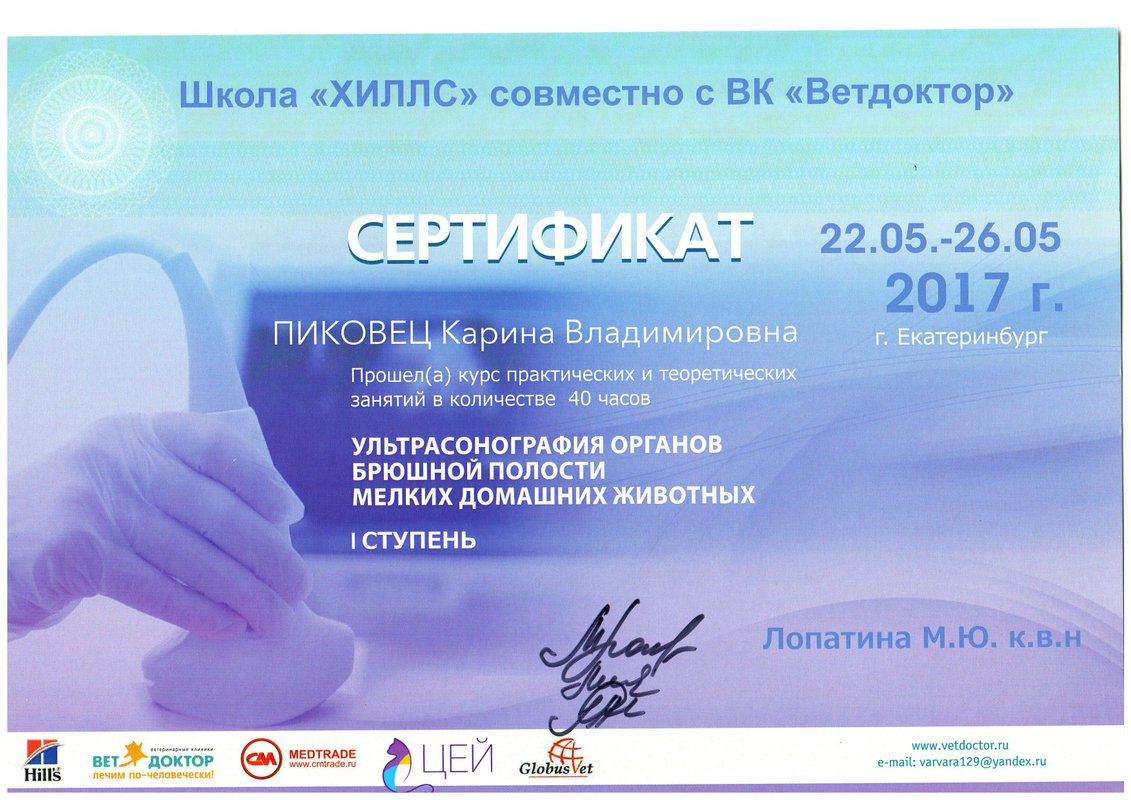 Документ или сертификат