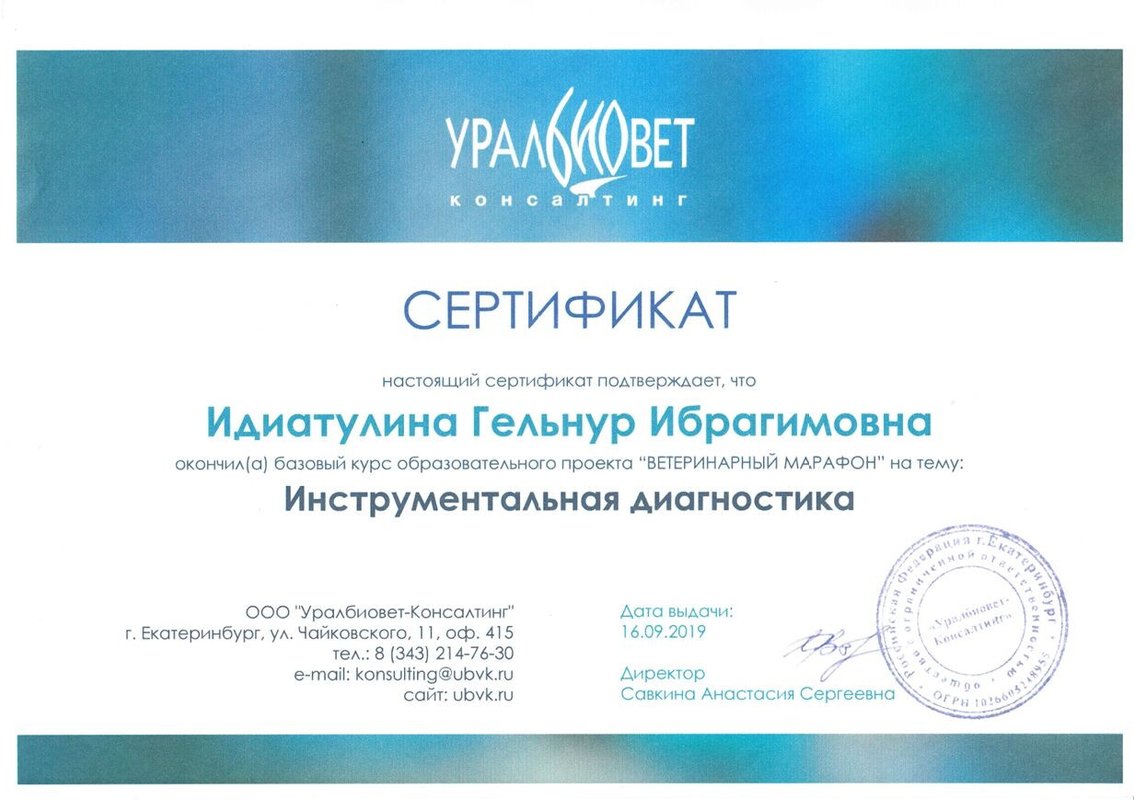 Документ или сертификат