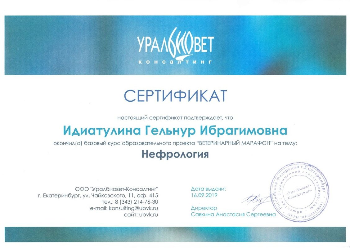 Документ или сертификат