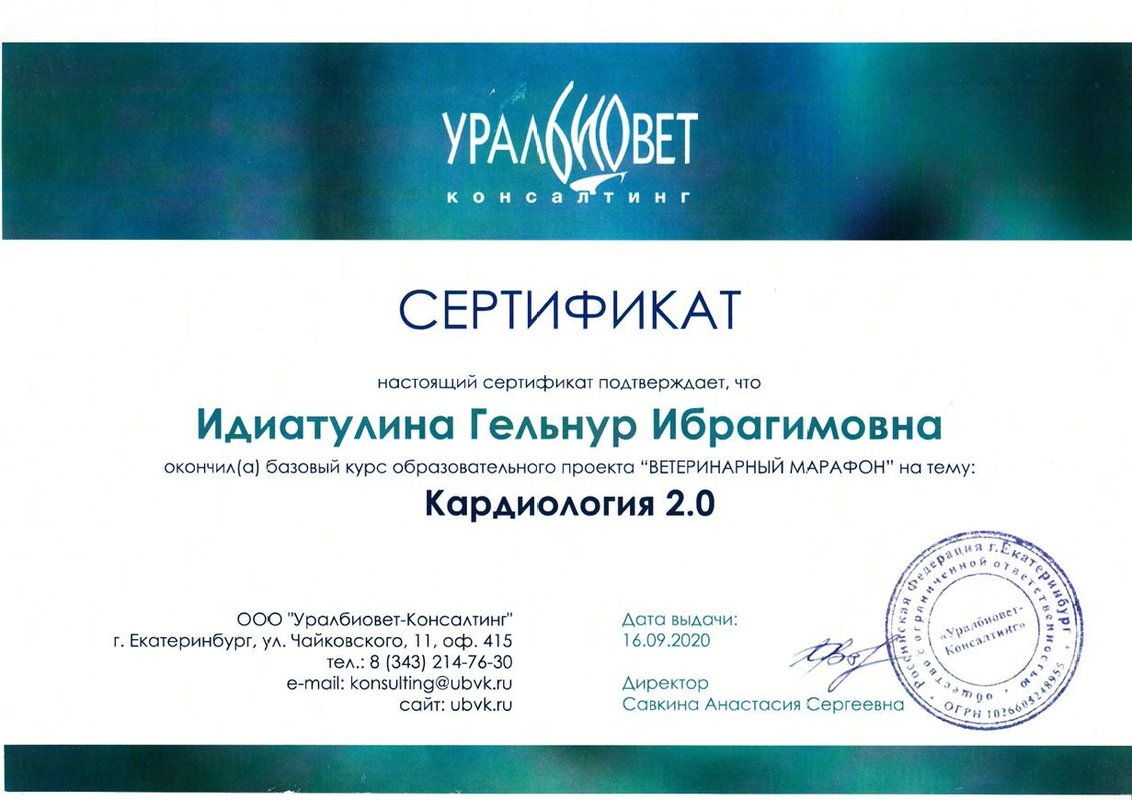 Документ или сертификат