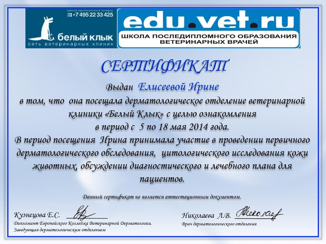Документ или сертификат