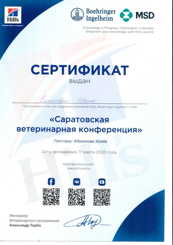 Документ или сертификат