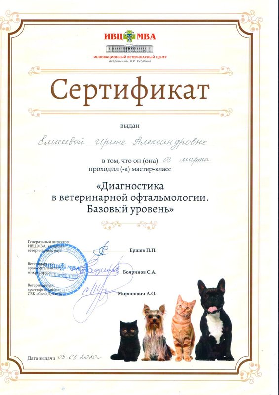 Документ или сертификат
