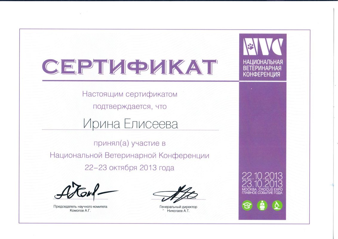 Документ или сертификат