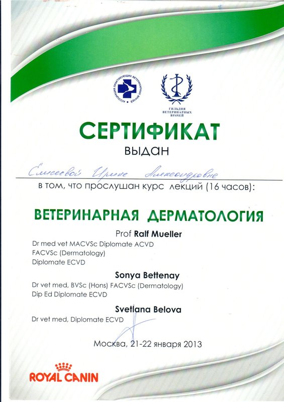 Документ или сертификат