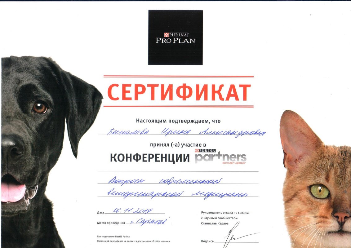 Документ или сертификат