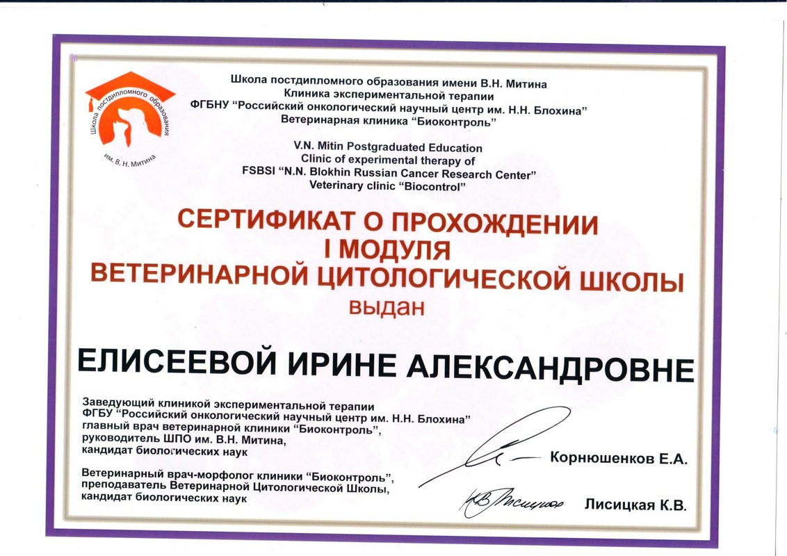 Документ или сертификат