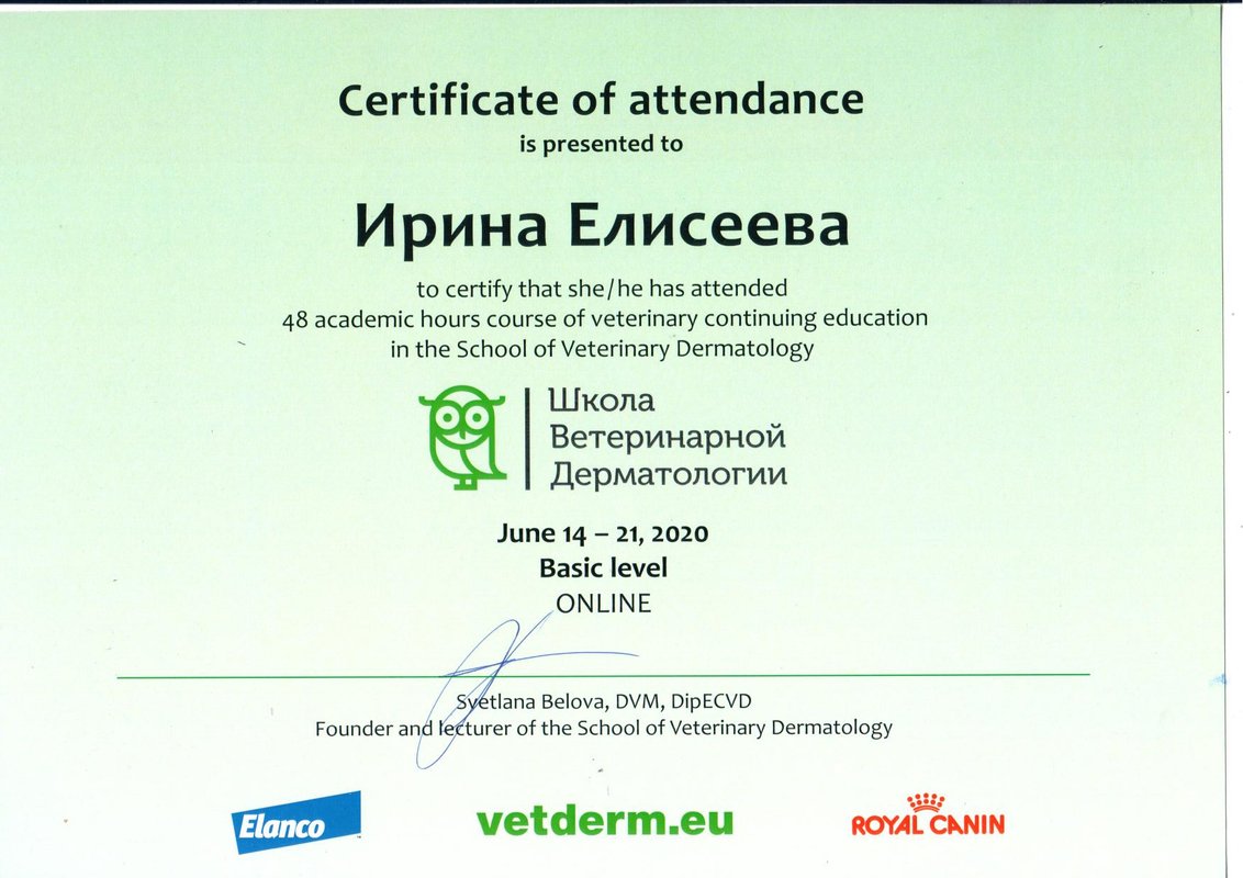 Документ или сертификат