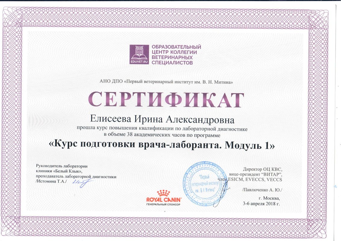 Документ или сертификат