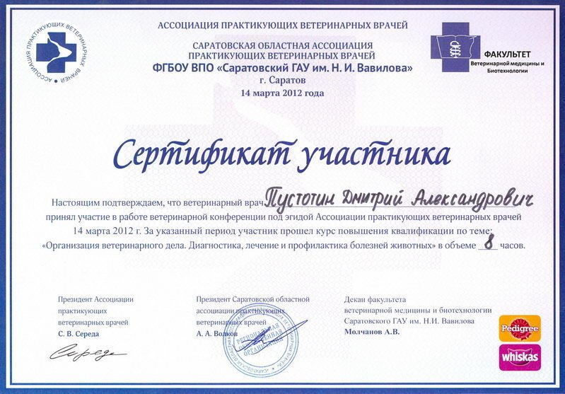 Документ или сертификат