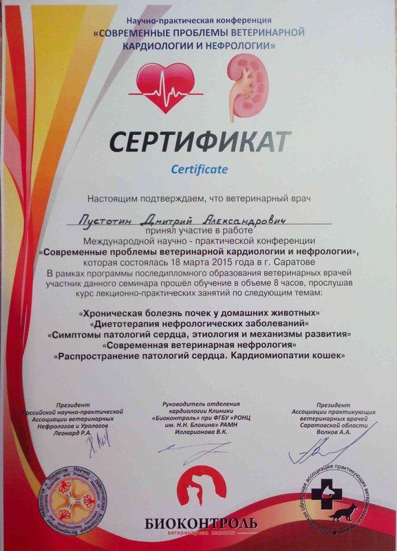 Документ или сертификат