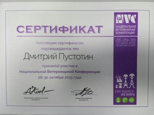 Документ или сертификат
