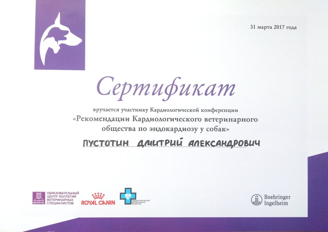 Документ или сертификат