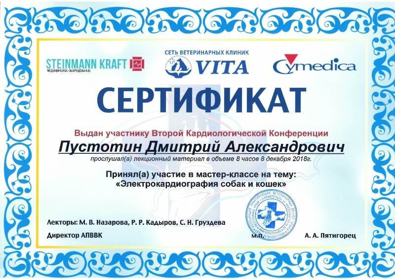 Документ или сертификат