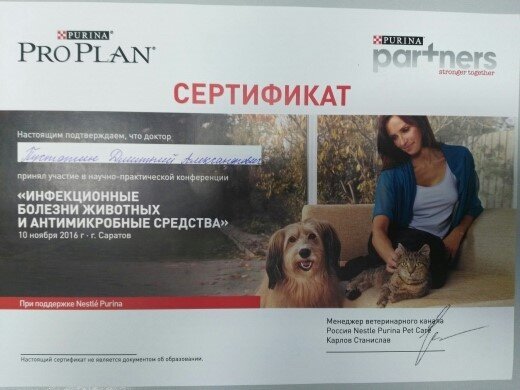 Документ или сертификат